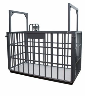 BÜYÜKBAŞ HAYVAN BASKÜLÜ